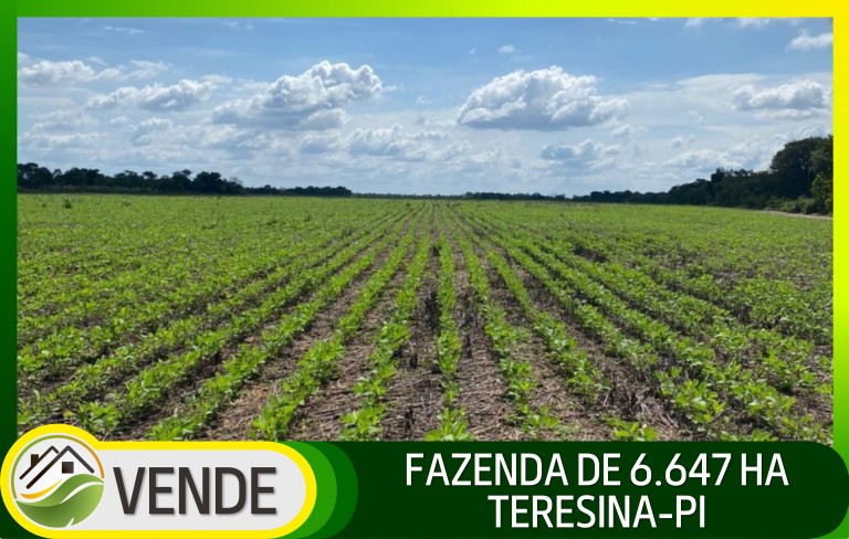 FAZENDA PORTEIRA FECHADA DE 6.647 HA