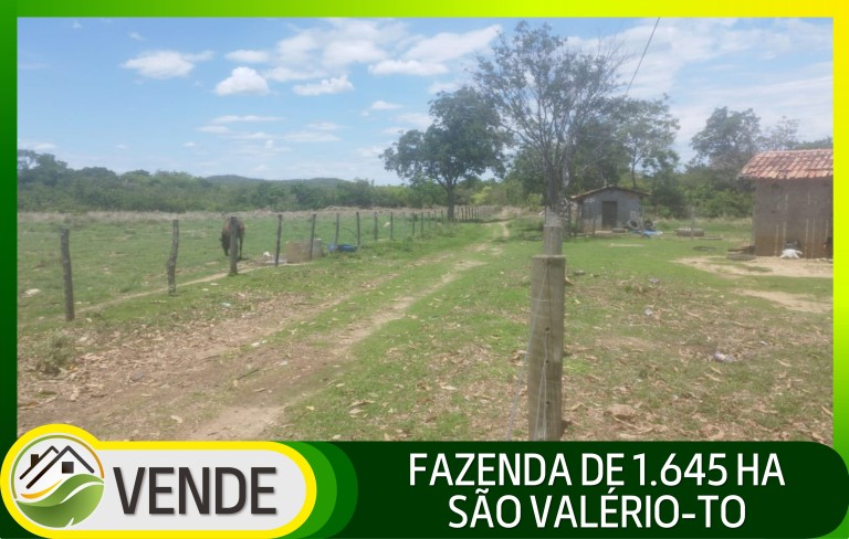 FAZENDA DE 1.645 HA POR R$ 9.000,00 AO HA
