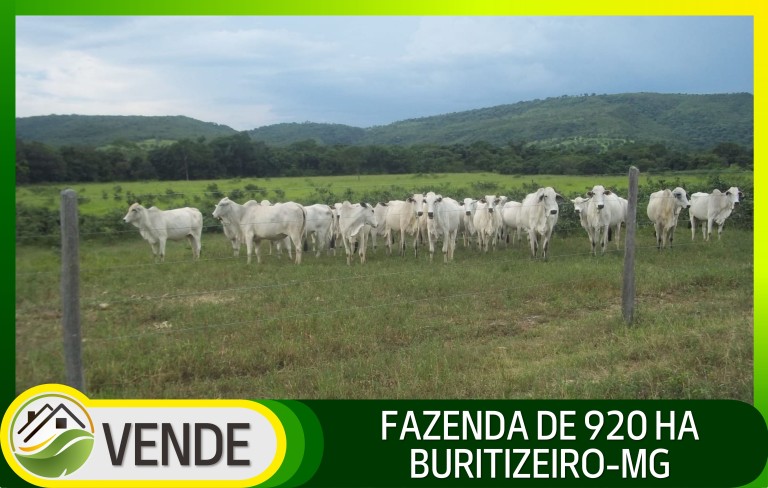 FAZENDA DE 920 HA EM MINAS GERAIS