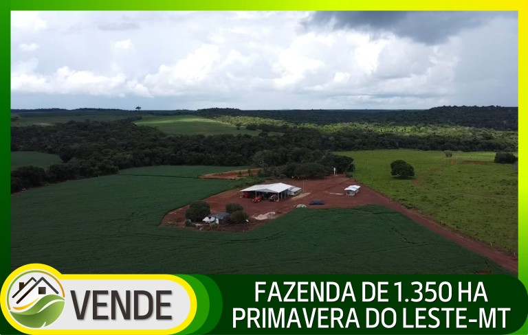 FAZENDA DE 1.350 HA COM ATÉ 10 ANOS PARA PAGAR