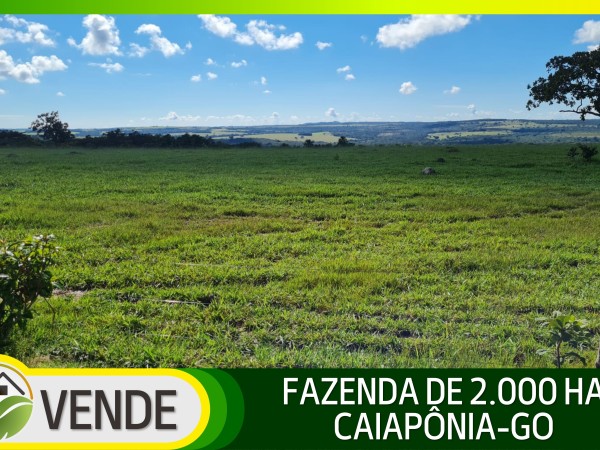 FAZENDA DE 2.000 HA EM GOIÁS
