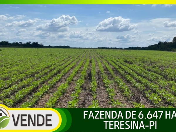 FAZENDA PORTEIRA FECHADA DE 6.647 HA