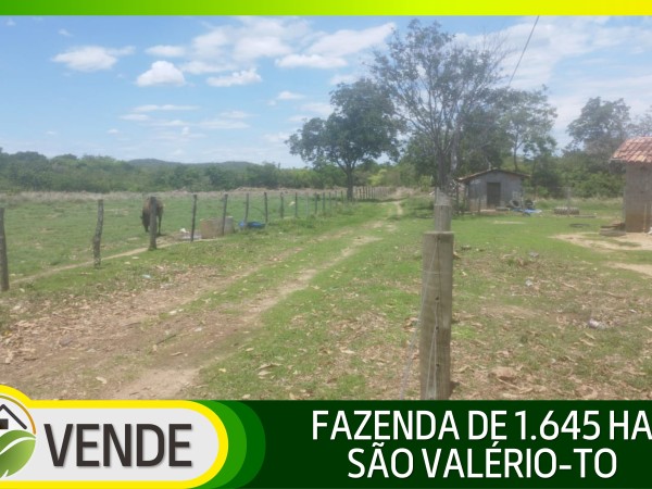 FAZENDA DE 1.645 HA POR R$ 9.000,00 AO HA