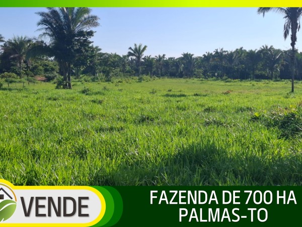 FAZENDA DE 700 HA NO TOCANTINS