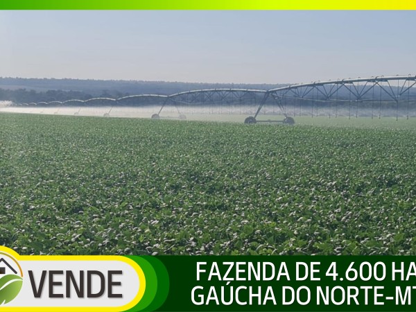 FAZENDA DE 4.600 HA COM 10 ANOS PARA PAGAR