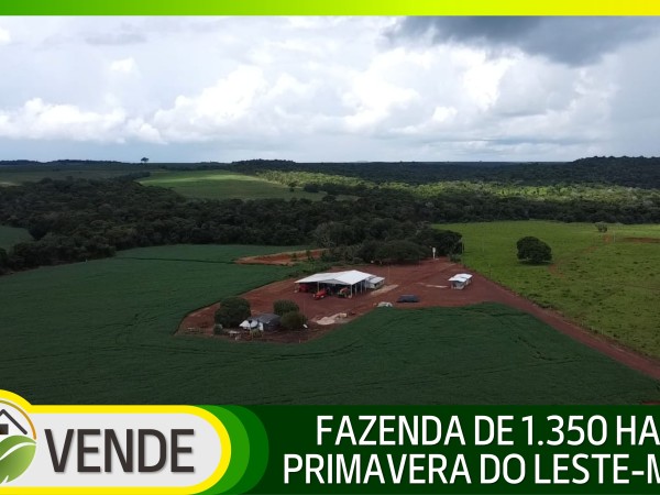 FAZENDA DE 1.350 HA COM ATÉ 10 ANOS PARA PAGAR