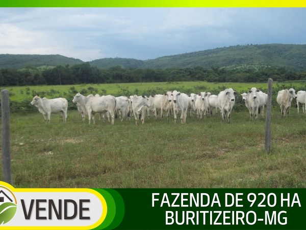 FAZENDA DE 920 HA EM MINAS GERAIS
