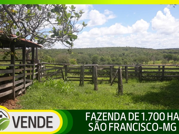 FAZENDA DE 1.700 HA EM MINAS GERAIS
