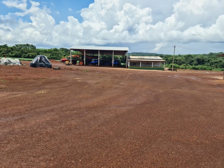 FAZENDA DE 1.350 HA COM ATÉ 10 ANOS PARA PAGAR