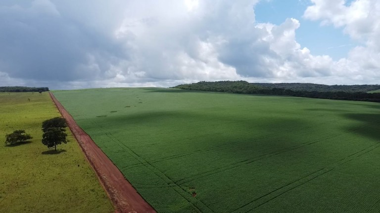 FAZENDA DE 1.350 HA COM ATÉ 10 ANOS PARA PAGAR