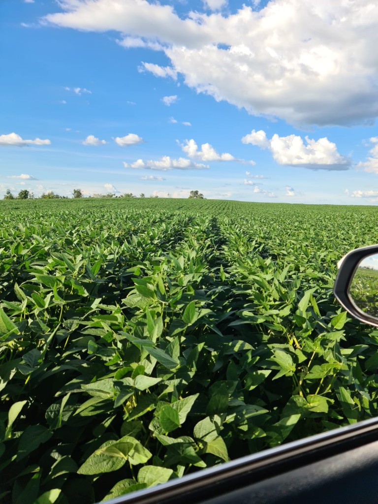 FAZENDA DE 1.350 HA COM ATÉ 10 ANOS PARA PAGAR