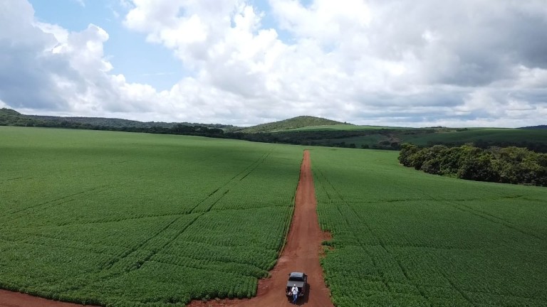 FAZENDA DE 1.350 HA COM ATÉ 10 ANOS PARA PAGAR