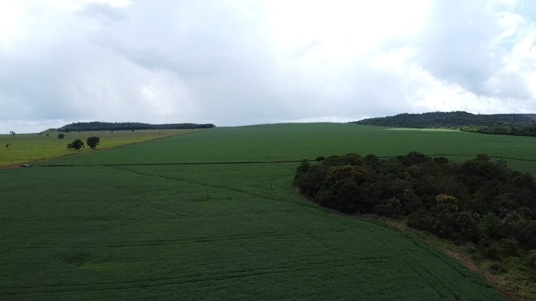 FAZENDA DE 1.350 HA COM ATÉ 10 ANOS PARA PAGAR