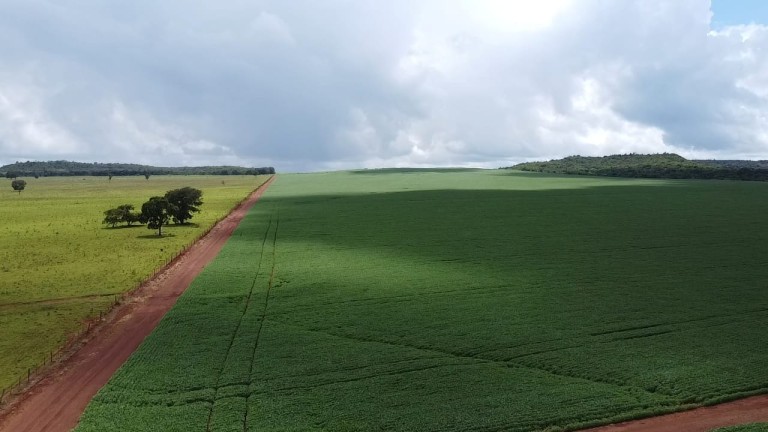 FAZENDA DE 1.350 HA COM ATÉ 10 ANOS PARA PAGAR