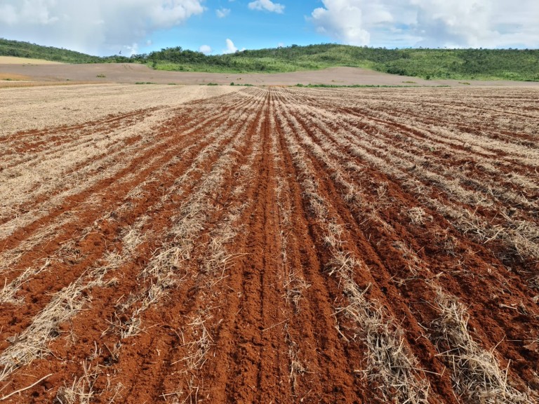 FAZENDA DE 1.350 HA COM ATÉ 10 ANOS PARA PAGAR