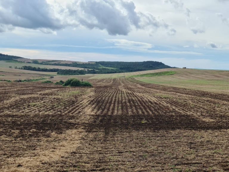 FAZENDA DE 1.350 HA COM ATÉ 10 ANOS PARA PAGAR