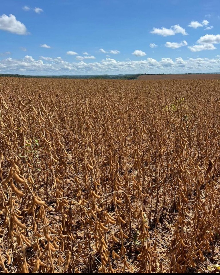 FAZENDA PORTEIRA FECHADA DE 6.647 HA