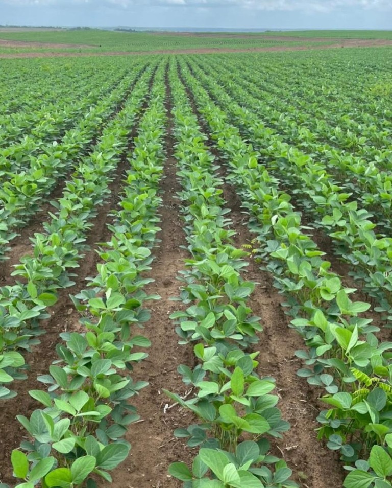 FAZENDA PORTEIRA FECHADA DE 6.647 HA