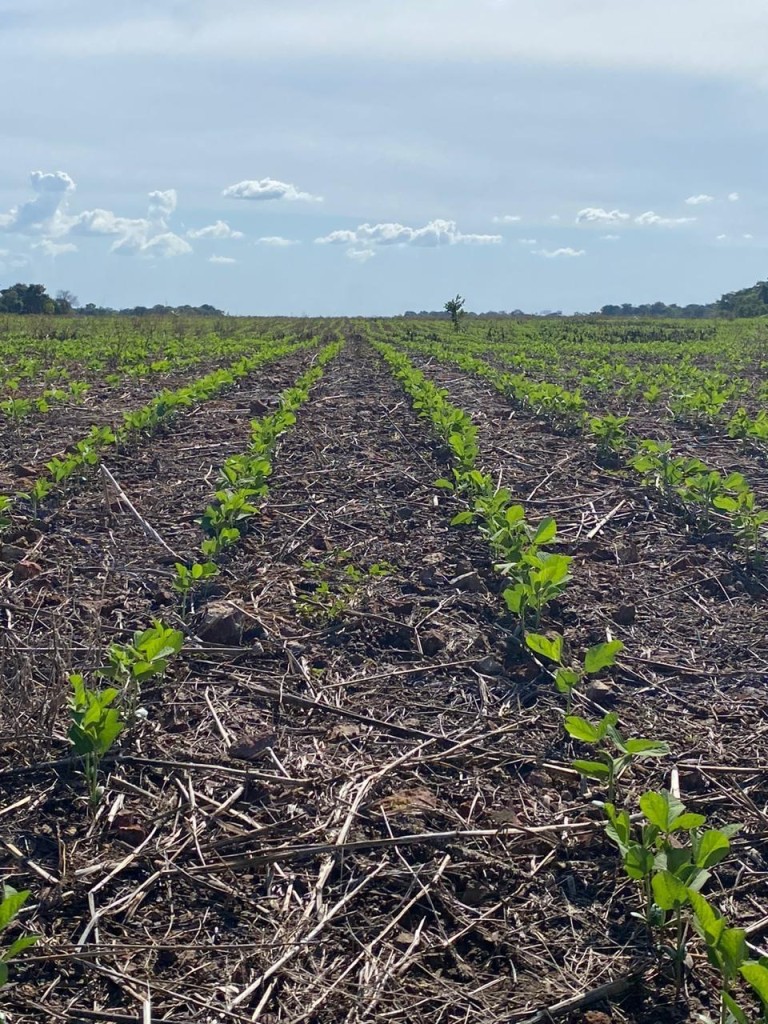 FAZENDA PORTEIRA FECHADA DE 6.647 HA
