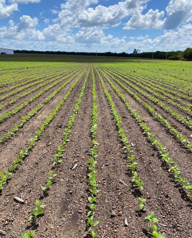 FAZENDA PORTEIRA FECHADA DE 6.647 HA