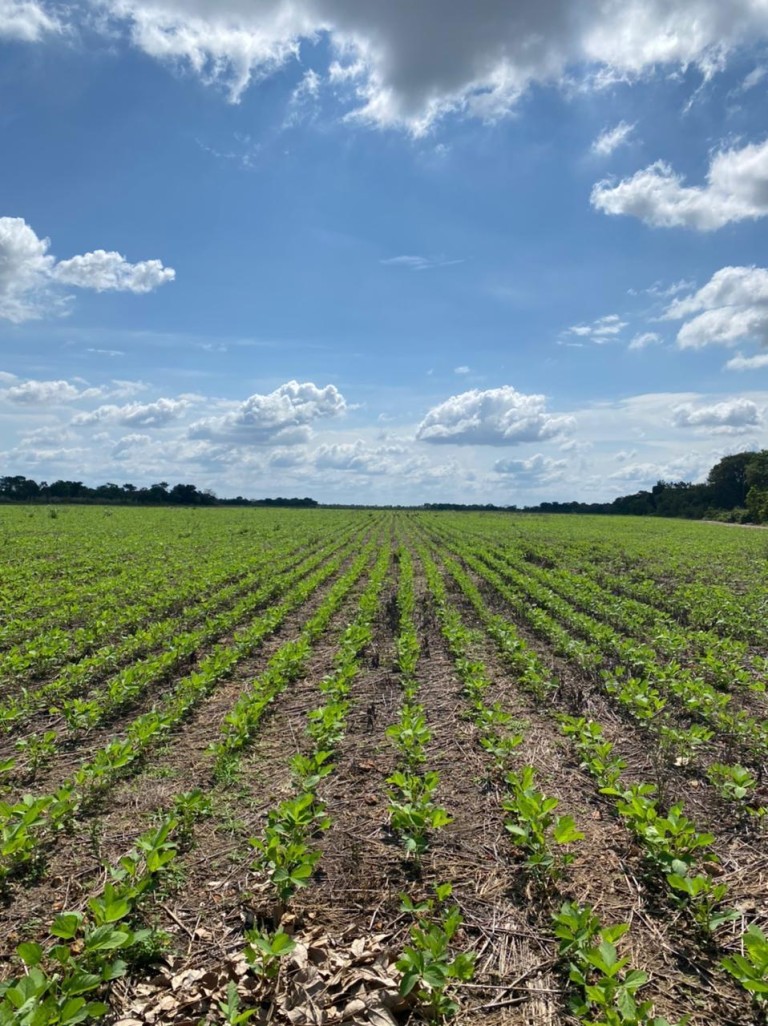 FAZENDA PORTEIRA FECHADA DE 6.647 HA