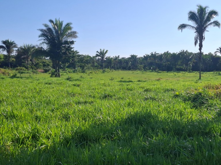 FAZENDA DE 700 HA NO TOCANTINS