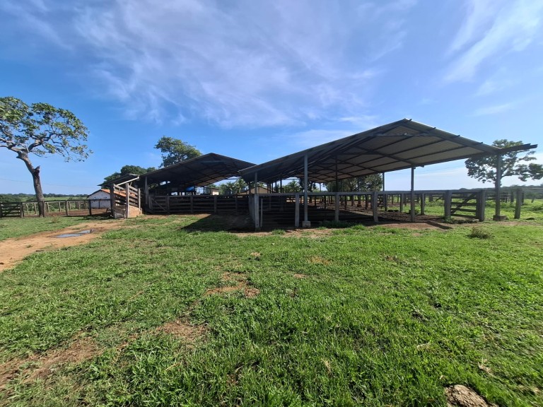 FAZENDA DE 700 HA NO TOCANTINS