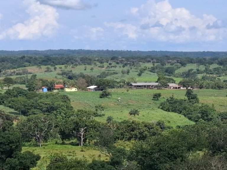 FAZENDA DE 700 HA NO TOCANTINS