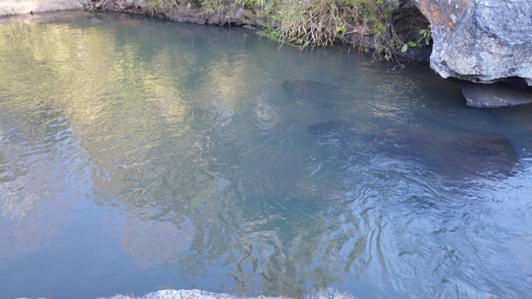 FAZENDA DE 1.645 HA POR R$ 9.000,00 AO HA