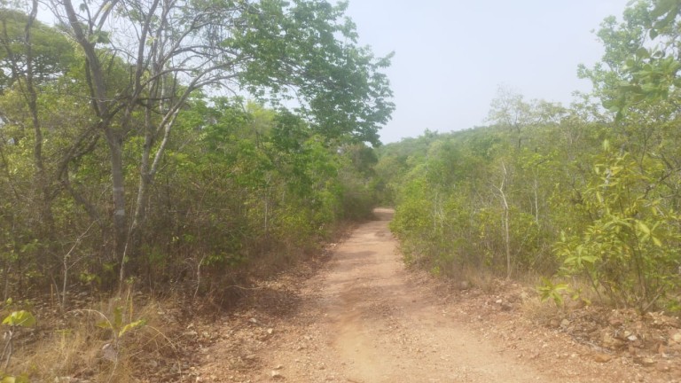 FAZENDA DE 1.645 HA POR R$ 9.000,00 AO HA