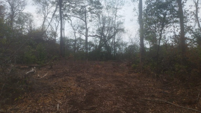 FAZENDA DE 1.645 HA POR R$ 9.000,00 AO HA