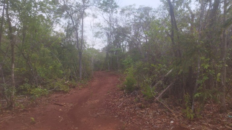 FAZENDA DE 1.645 HA POR R$ 9.000,00 AO HA