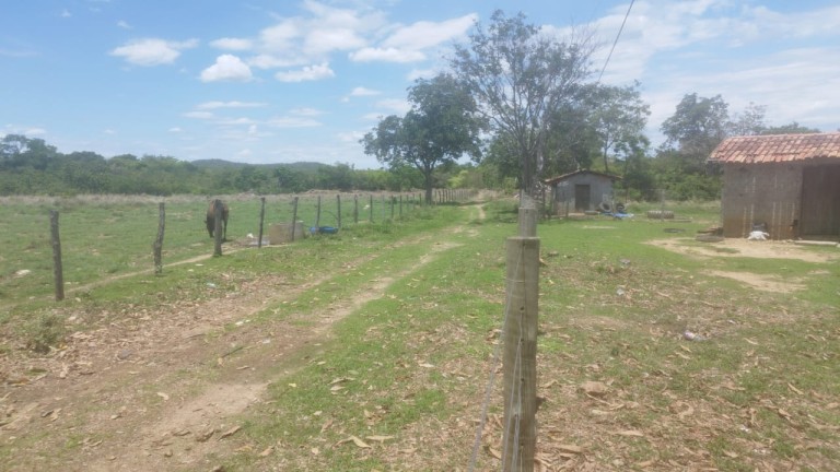 FAZENDA DE 1.645 HA POR R$ 9.000,00 AO HA