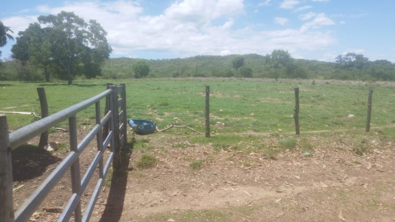 FAZENDA DE 1.645 HA POR R$ 9.000,00 AO HA