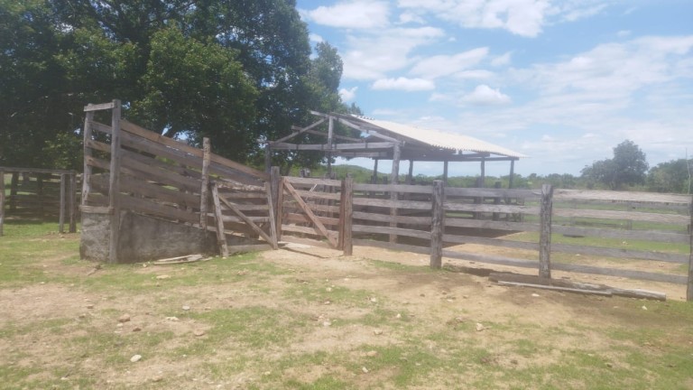 FAZENDA DE 1.645 HA POR R$ 9.000,00 AO HA