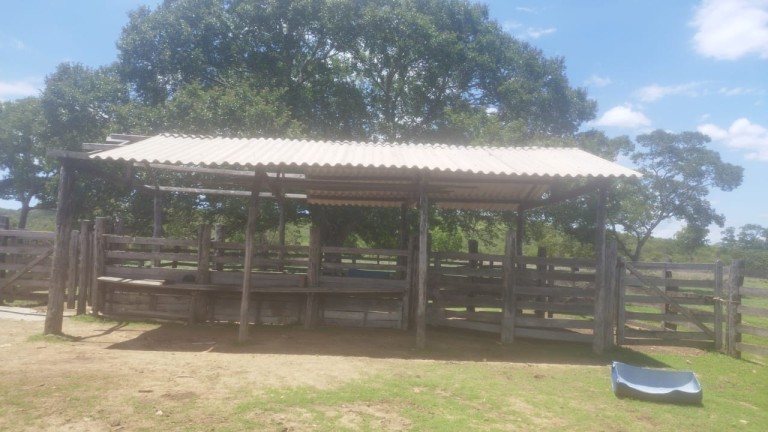 FAZENDA DE 1.645 HA POR R$ 9.000,00 AO HA