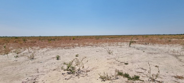FAZENDA DE 6.780 HA NA BAHIA