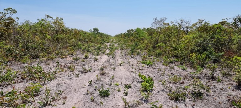 FAZENDA DE 6.780 HA NA BAHIA