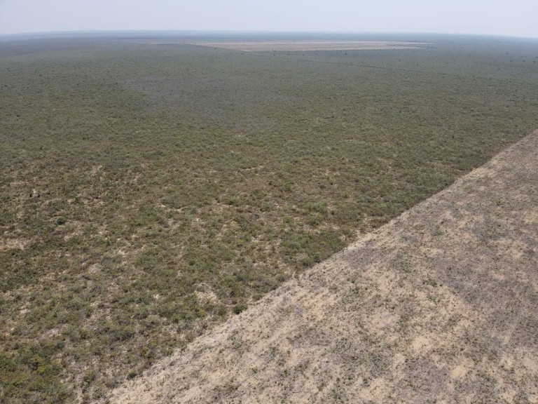 FAZENDA DE 6.780 HA NA BAHIA