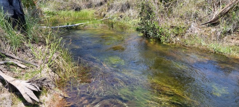 FAZENDA DE 6.780 HA NA BAHIA
