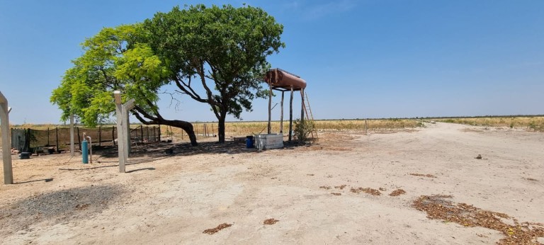FAZENDA DE 6.780 HA NA BAHIA