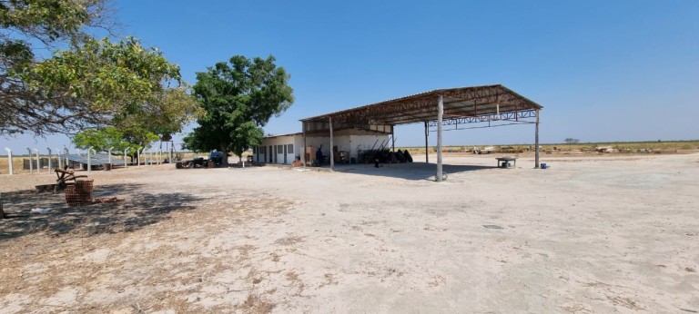 FAZENDA DE 6.780 HA NA BAHIA