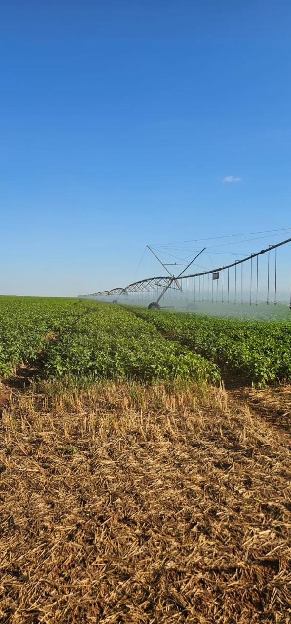 FAZENDA DE 4.600 HA COM 10 ANOS PARA PAGAR