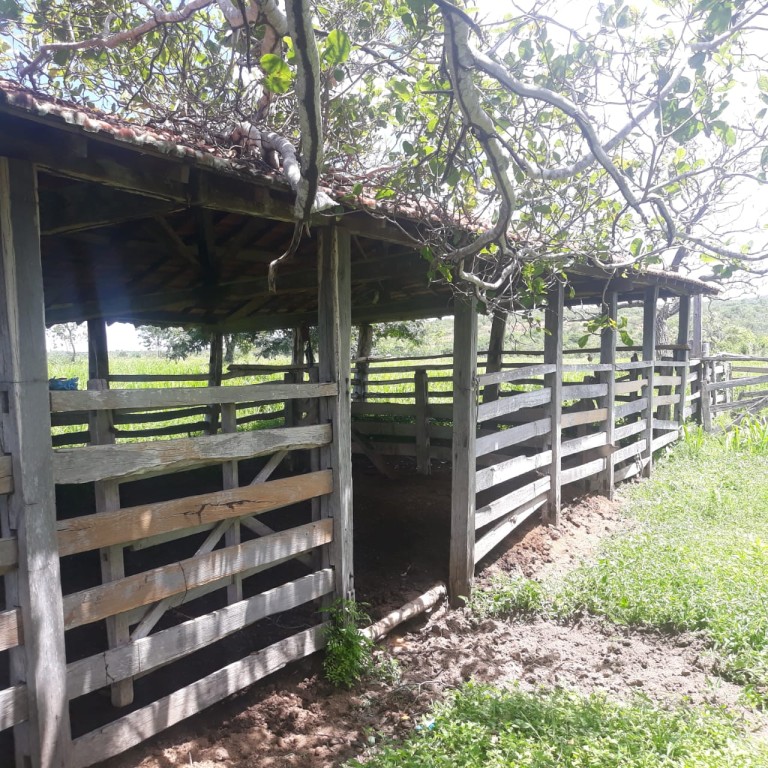 FAZENDA DE 1.700 HA EM MINAS GERAIS