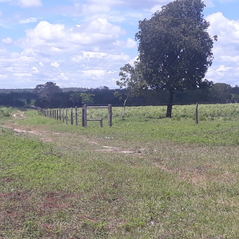 FAZENDA DE 1.700 HA EM MINAS GERAIS