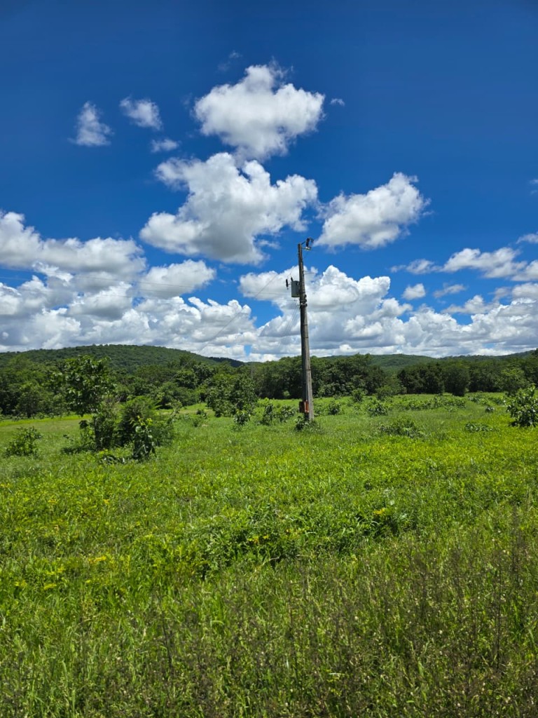 FAZENDA DE 920 HA EM MINAS GERAIS