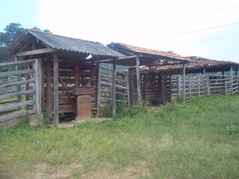 FAZENDA DE 920 HA EM MINAS GERAIS