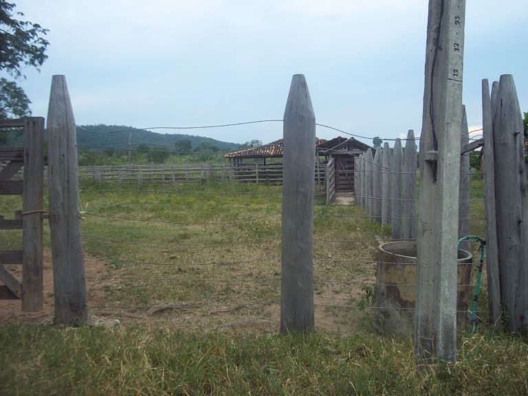 FAZENDA DE 920 HA EM MINAS GERAIS