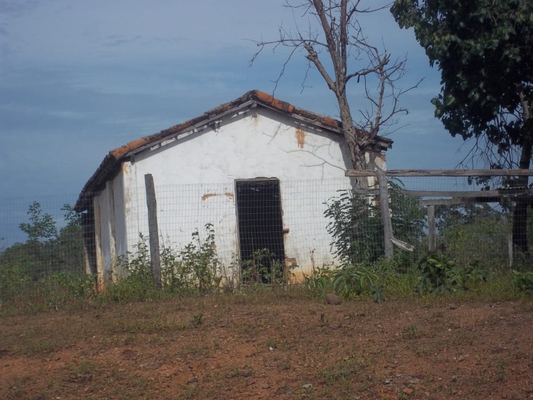 FAZENDA DE 920 HA EM MINAS GERAIS