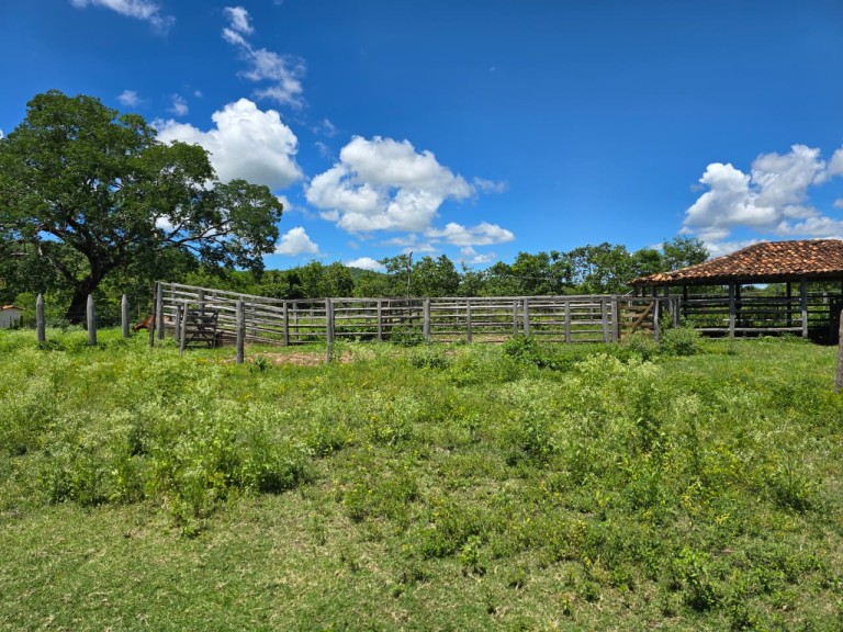 FAZENDA DE 920 HA EM MINAS GERAIS